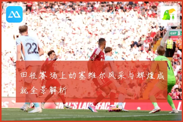 田径赛场上的塞维尔风采与辉煌成就全景解析